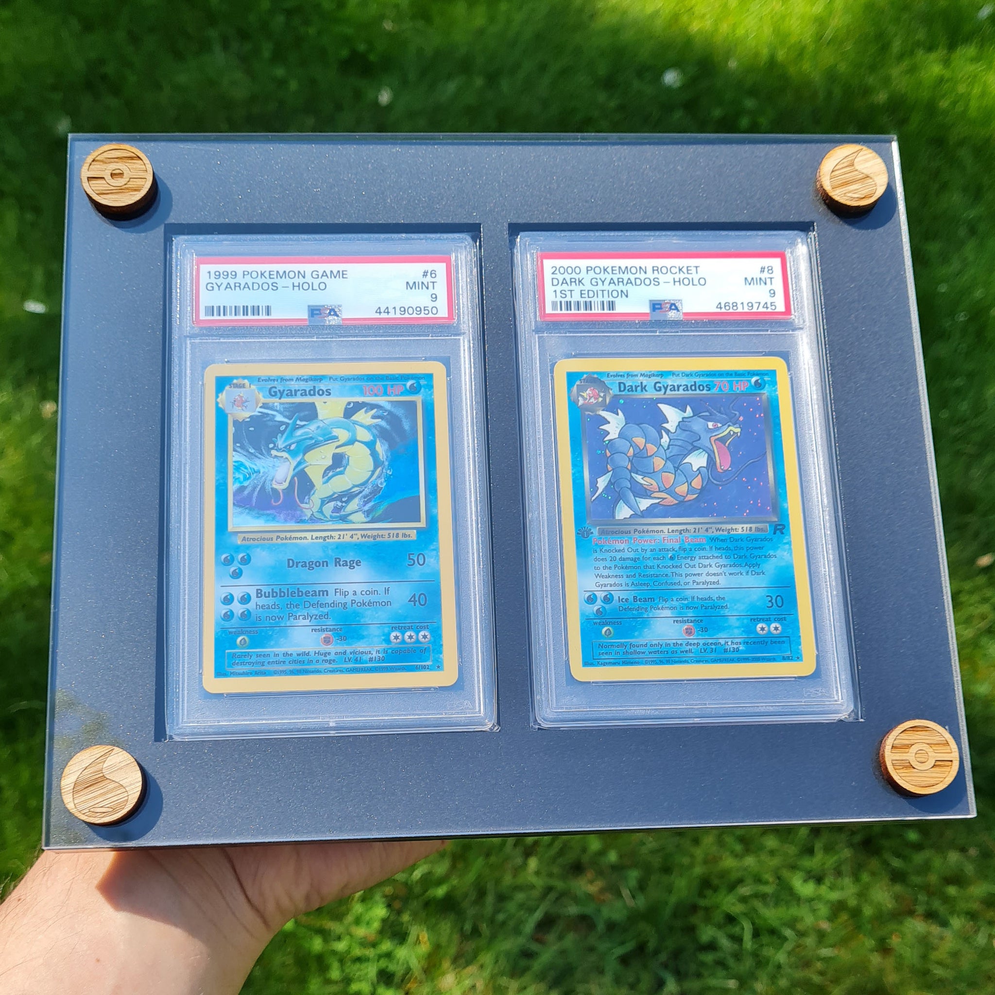 2 Slot PSA UV Resistant Display – PokeDreamer