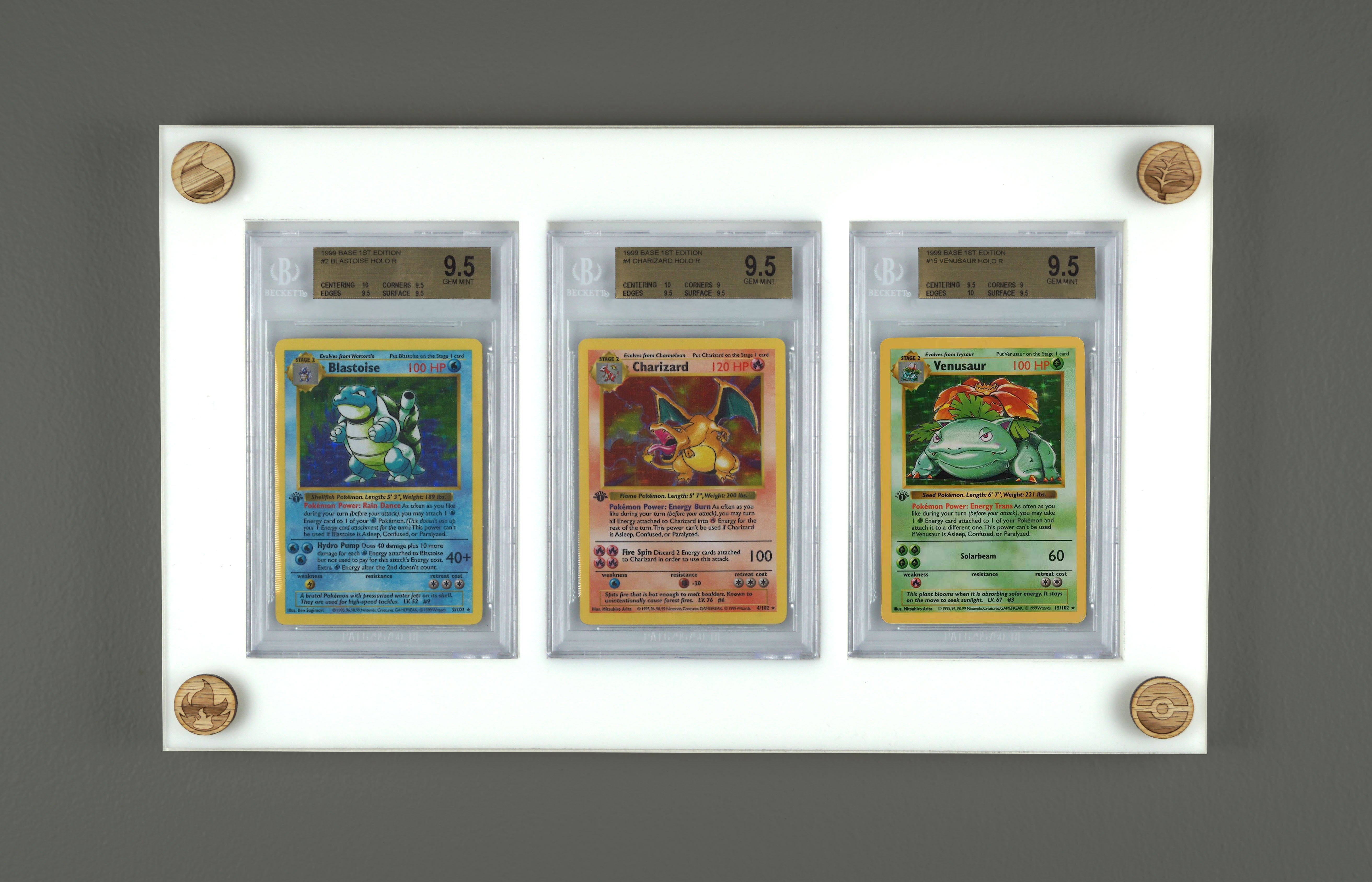Wall Mountable 3 BGS Card Display with UV Filtering Cover – Evolve Displays